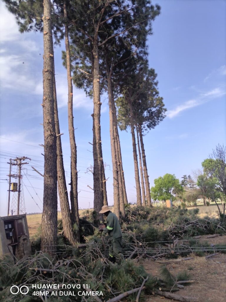 whatsapp image 2025 12 01 at 10.11.42 am (1)