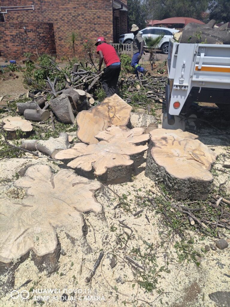 whatsapp image 2025 12 01 at 10.11.42 am