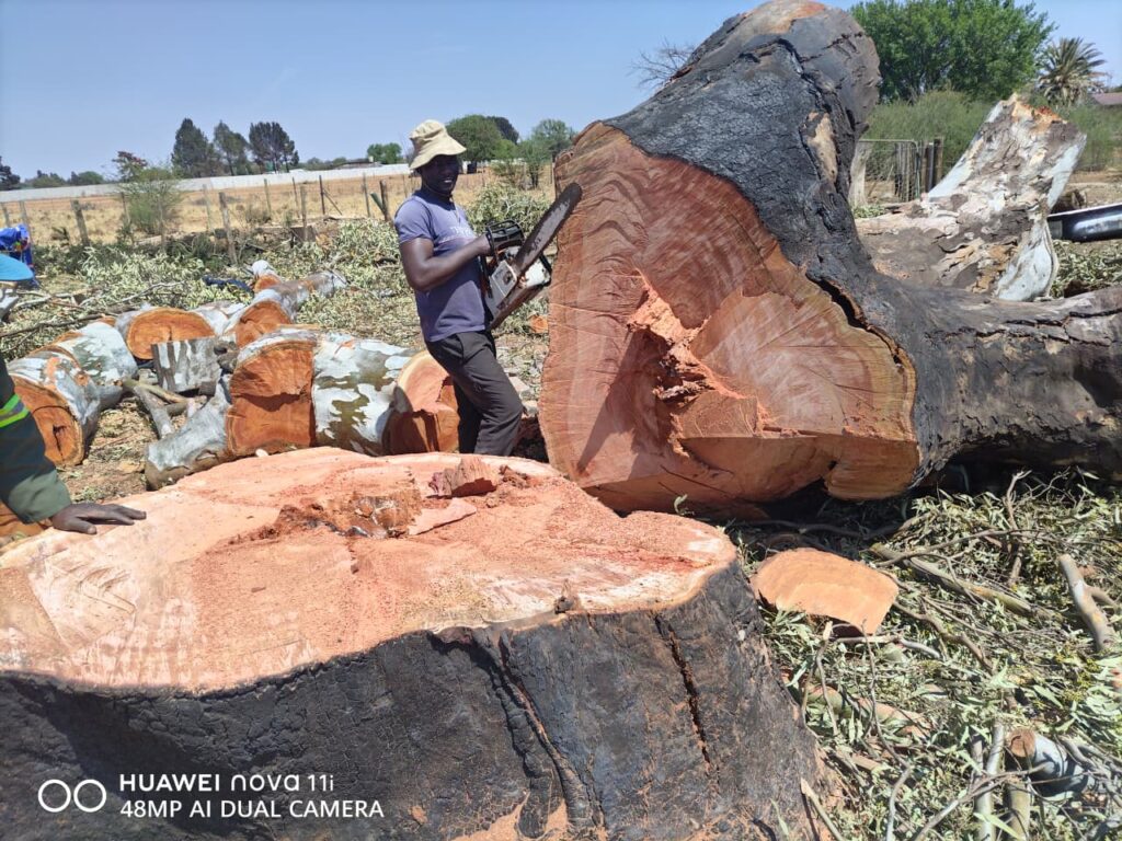 whatsapp image 2025 12 01 at 10.11.43 am