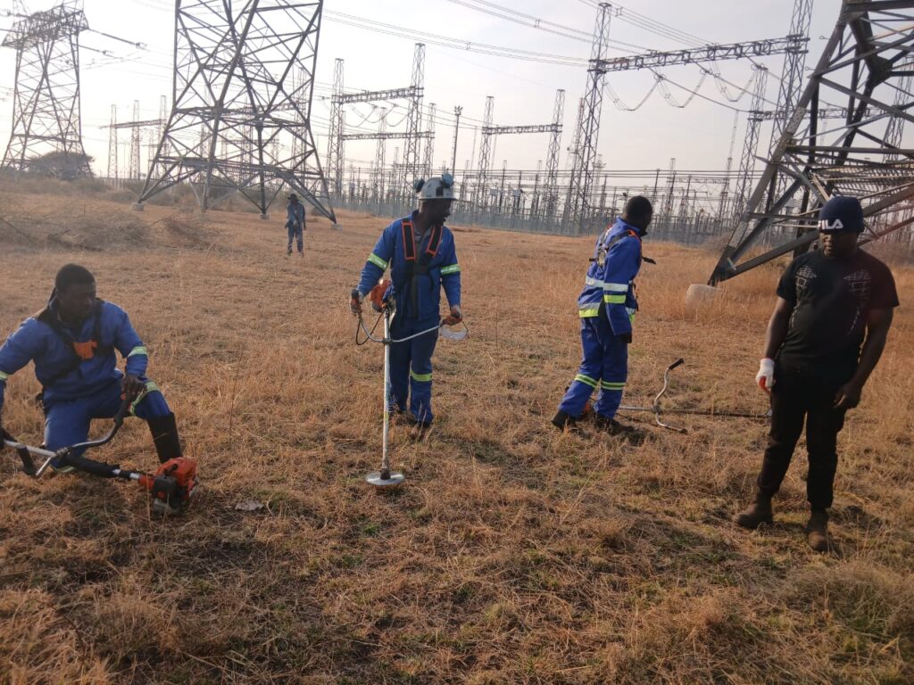 whatsapp image 2025 12 01 at 12.09.02 pm