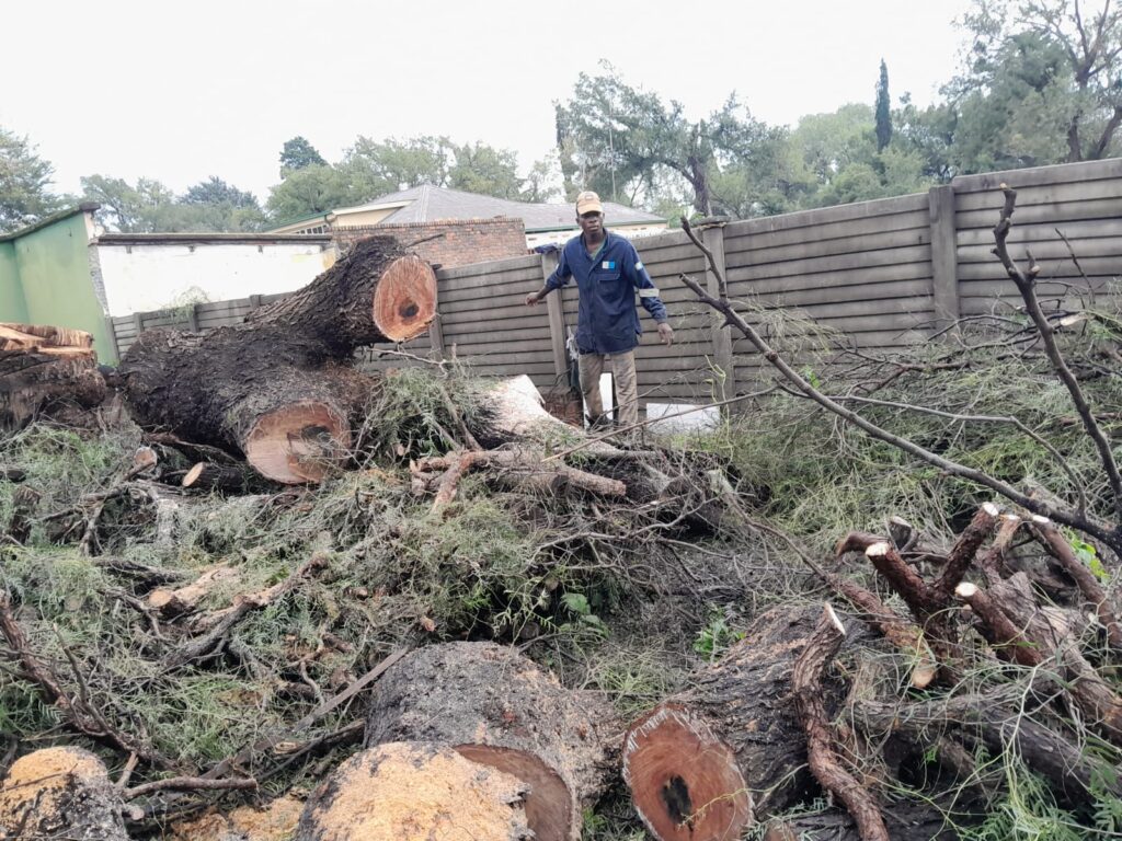 whatsapp image 2025 12 01 at 12.09.05 pm