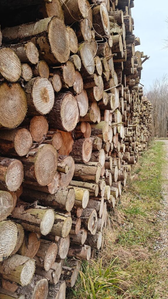 A stack of neatly arranged logs alongside a woodland path, showcasing nature's bounty.